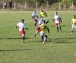 Indiana Jones și Paris din Buzău! Lecție de istorie de la Gherăseni: pe un câmp apar arheologi care studiază diadema din aur