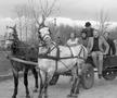 39 de ani fără „Viteazul” cinematografiei românești » Un text inedit, plin de haz al lui Amza Pellea despre a doua lui mare dragoste, Universitatea Craiova