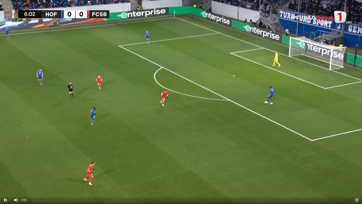 Steaguri românești în tribună la Hoffenheim - FCSB