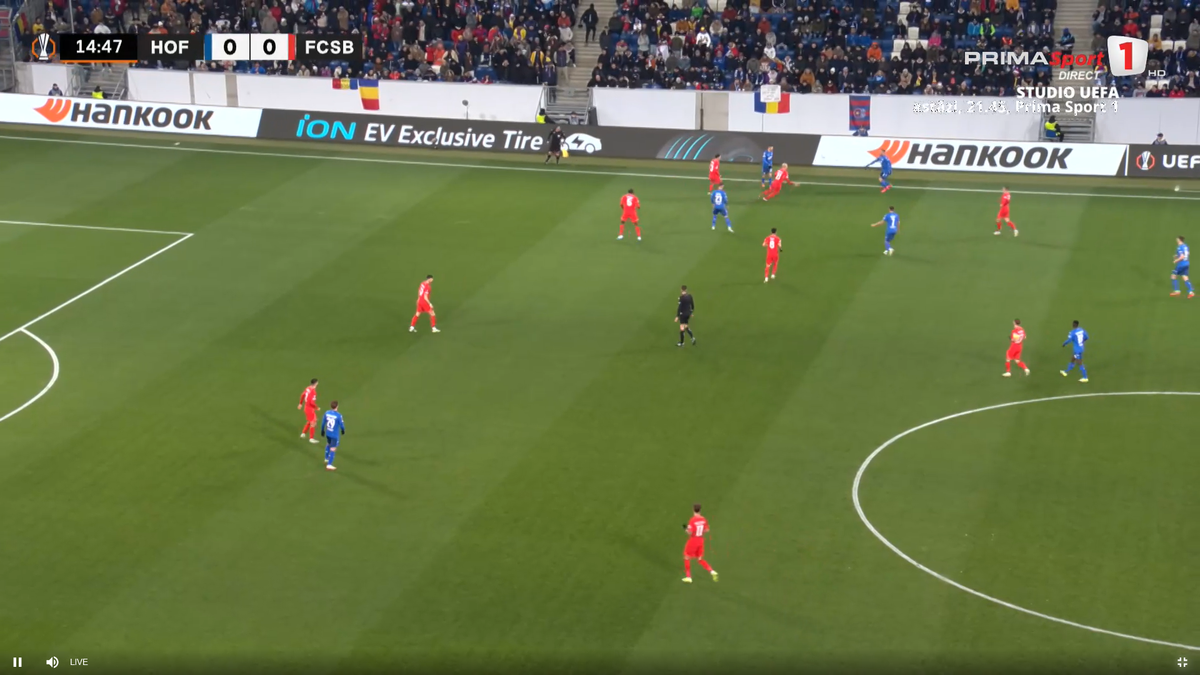 Steaguri românești în tribună la Hoffenheim - FCSB