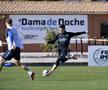 Galerie foto FCSB