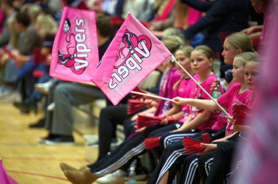 Vipers Kristiansand a intrat în faliment, foto: Facebook După Gloria Buzău, dispare și un colos al handbalului feminin: „Garanțiile au fost false. E sfârșitul unei istorii lungi și mândre