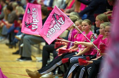 Vipers Kristiansand a intrat în faliment, foto: Facebook
