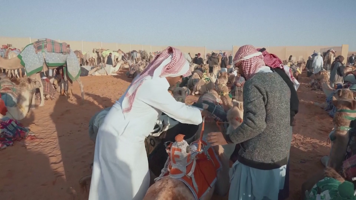 Festivalul cămilelor din Arabia Saudită - ediția 2024