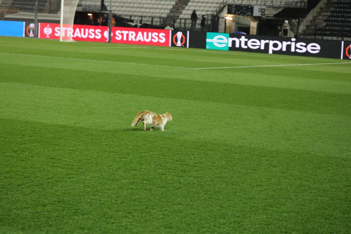 PAOK - FCSB » Delegația roș-albaștrilor, în frunte cu Mihai Stoica, în inspecție pe „Toumba”