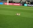 PAOK - FCSB » Delegația roș-albaștrilor, în frunte cu Mihai Stoica, în inspecție pe „Toumba” / foto: Ionuț Iordache