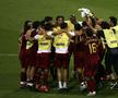 Stadionul din Nuremberg și „Bătălia” Portugalia - Olanda