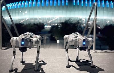 Câinii-robot K9-X vor face legea la Campionatul Mondial: au costat 145.000 $