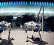 Câinii-robot K9-X, într-o demonstrație a poliției mexicane