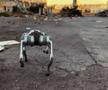 Câinii-robot K9-X vor face legea la Campionatul Mondial