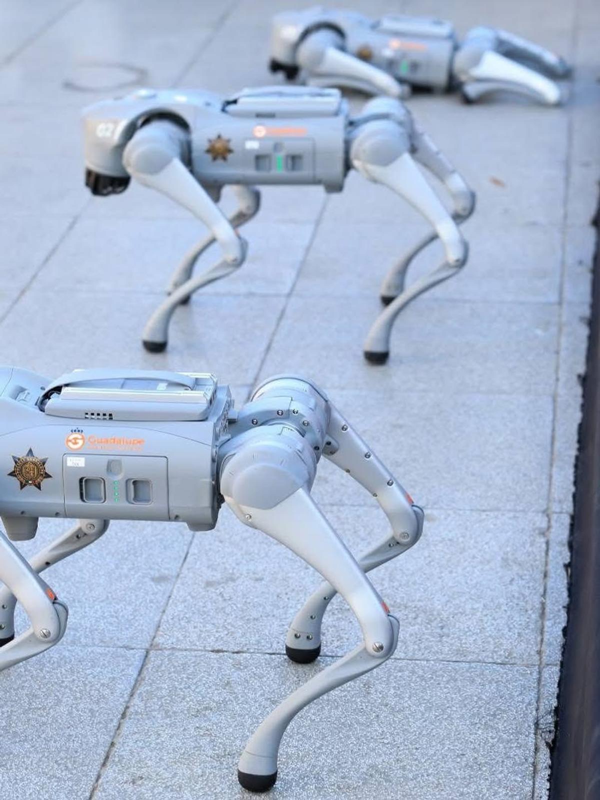 Câinii-robot K9-X vor face legea la Campionatul Mondial