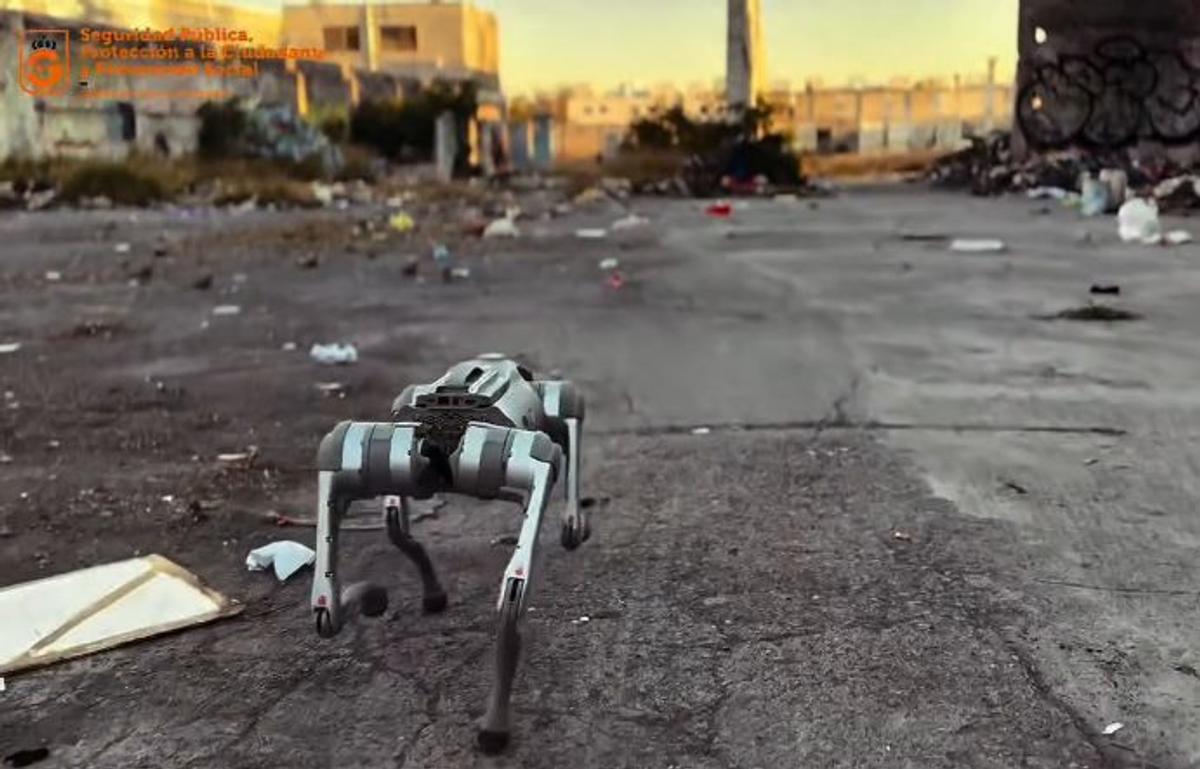 Câinii-robot K9-X vor face legea la Campionatul Mondial: au costat 145.000 $