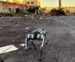 Câinii-robot K9-X vor face legea la Campionatul Mondial