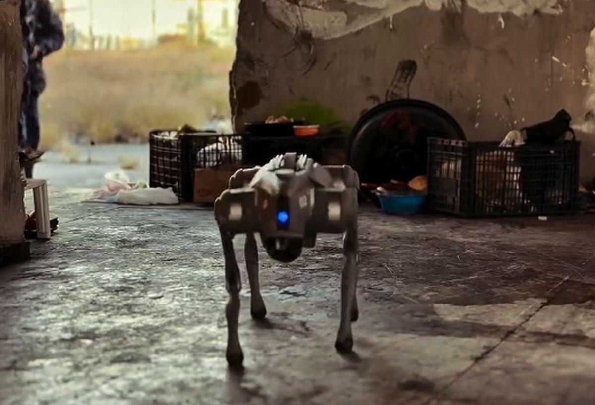 Câinii-robot K9-X vor face legea la Campionatul Mondial