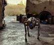 Câinii-robot K9-X vor face legea la Campionatul Mondial: au costat 145.000 $