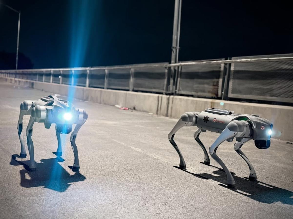 Câinii-robot K9-X vor face legea la Campionatul Mondial