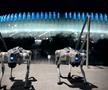 Câinii-robot K9-X vor face legea la Campionatul Mondial