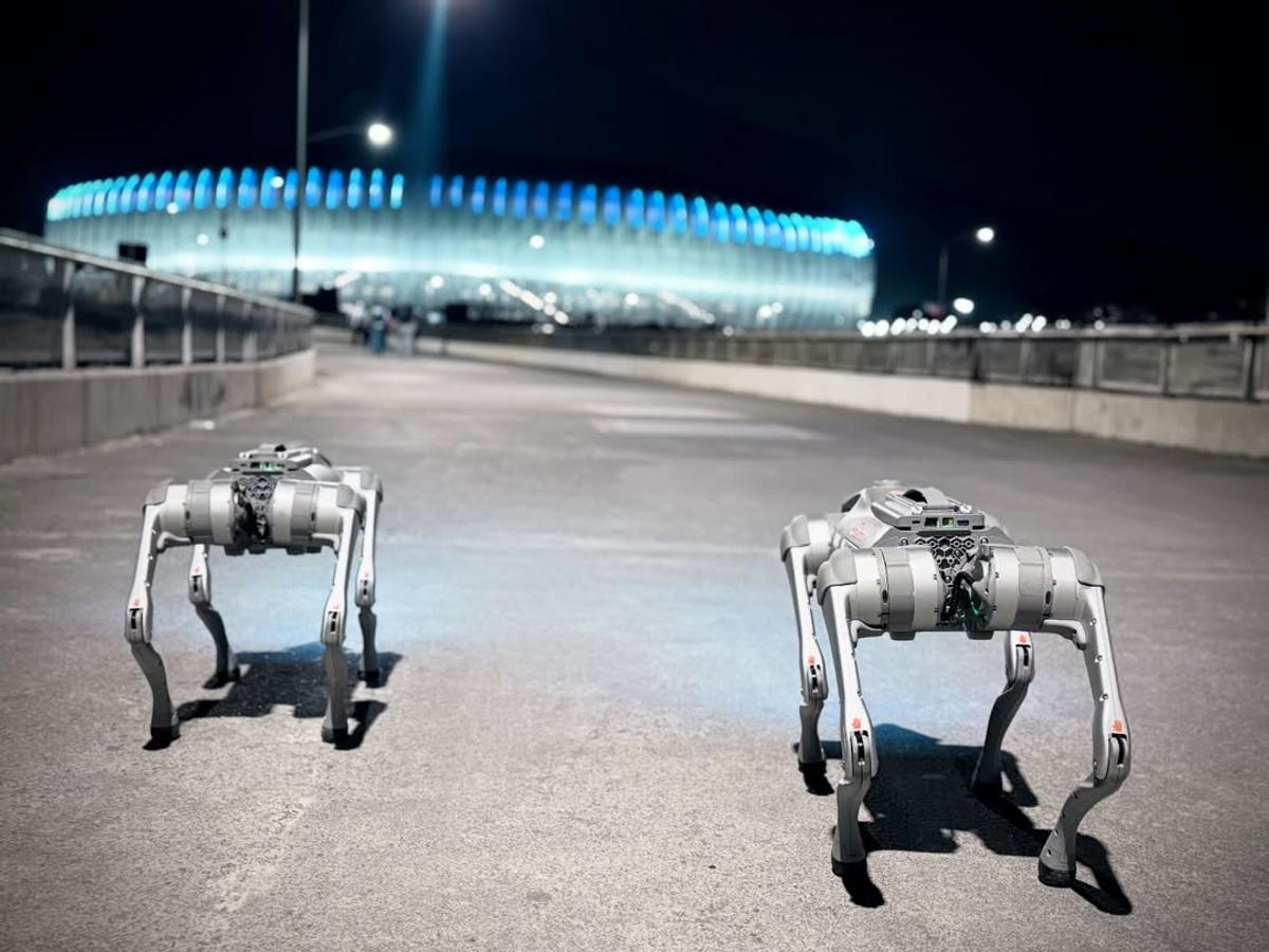 Câinii-robot K9-X vor face legea la Campionatul Mondial