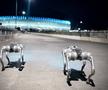 Câinii-robot K9-X vor face legea la Campionatul Mondial