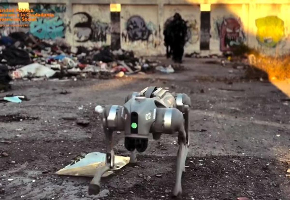 Câinii-robot K9-X vor face legea la Campionatul Mondial: au costat 145.000 $