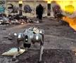 Câinii-robot K9-X vor face legea la Campionatul Mondial