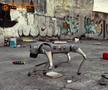 Câinii-robot K9-X vor face legea la Campionatul Mondial