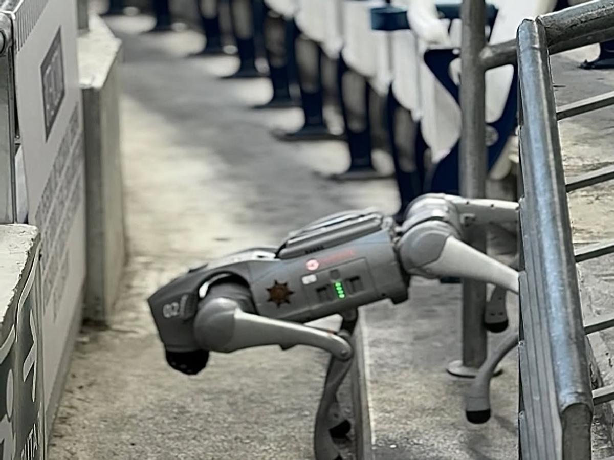 Câinii-robot K9-X vor face legea la Campionatul Mondial