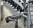 Câinii-robot K9-X vor face legea la Campionatul Mondial