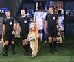 Universitatea Craiova - FC Argeș