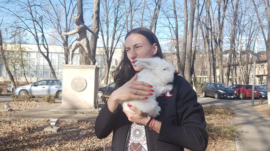 Atleta care are 27 de animale de companie merge în cantonamente cu un iepuraș