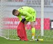 Explicații pentru decizia lui Mulțescu de a pleca de la Dinamo: „A venit cu alte gânduri”