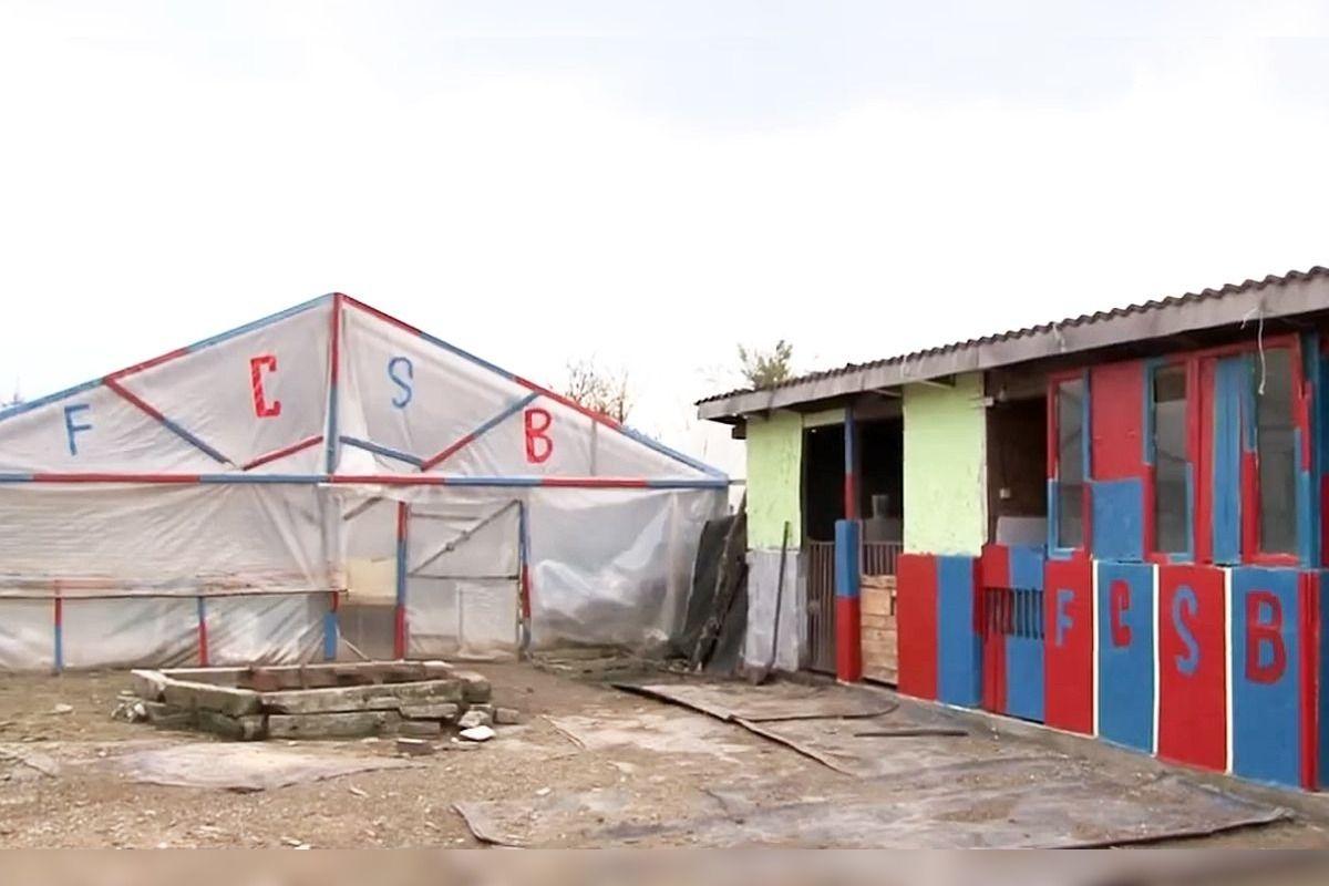 Pasiunea pentru FCSB nu are limite » Un oltean și-a vopsit locuința în roș-albastru: „Fac și cotețele la porci și găini”