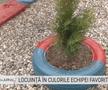 Pasiunea pentru FCSB nu are limite » Un oltean și-a vopsit locuința în roș-albastru: „Fac și cotețele la porci și găini”