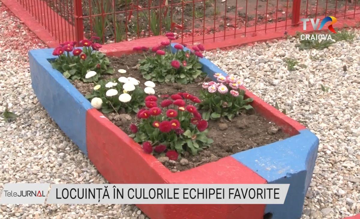 Pasiunea pentru FCSB nu are limite » Un oltean și-a vopsit locuința în roș-albastru: „Fac și cotețele la porci și găini”