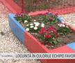 Florin, fan FCSB, și-a vopsit locuința în roș-albastru