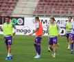 Imagini înainte de Rapid - FC Argeș // foto: Ionuț Iordache (GSP.ro)