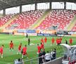 Antrenament Hermannstadt la Arad, înaintea finalei Cupei României cu CFR Cluj