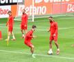 Antrenament Hermannstadt la Arad, înaintea finalei Cupei României cu CFR Cluj