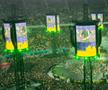 Arena Națională la concertul Metallica