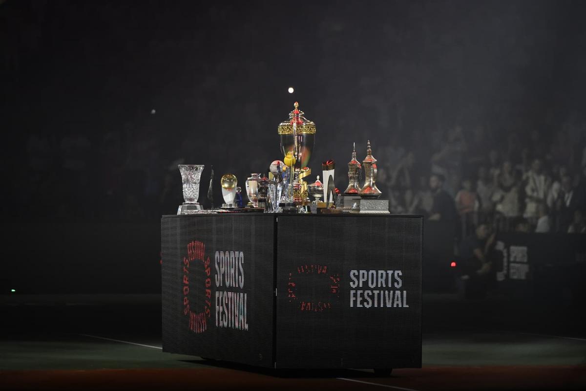 Discursul Simonei Halep nu se putea încheia într-un mod mai emoționant: „Vreau să rămâneți puțin în picioare!”
