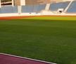 Cum arată gazonul de la Târgu Jiu cu 3 zile înainte de FCU Craiova - FCSB » MM Stoica: „Atenție! Am primit o filmare”