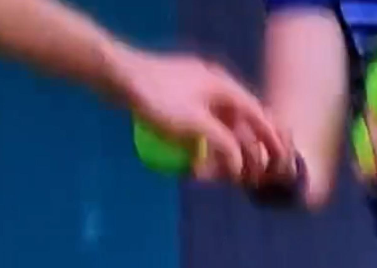 Ireal! De ce a fost întreruptă finala de la Wimbledon dintre Jannik Sinner și Carlos Alcaraz