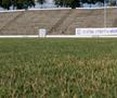 Stadionul „Iftimie Ilisei” din Medgidia, 10.07.2025 // foto: Andrei Furnigă (GSP)