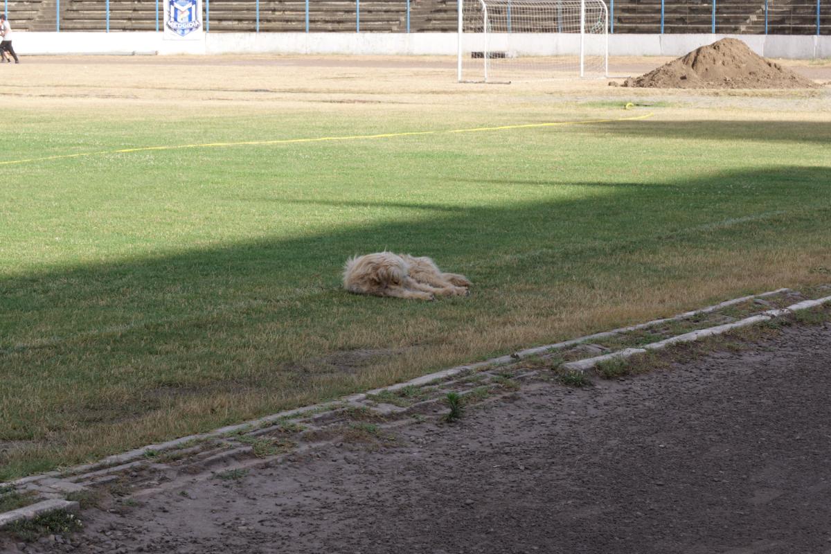 Stadionul „Iftimie Ilisei” din Medgidia, 10.07.2025 // foto: Andrei Furnigă (GSP)