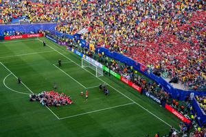 FIFA vinde iarba de la finala Campionatului Mondial! Cât costă o bucată din gazon
