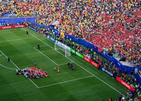 FIFA vinde iarba de la finala Campionatului Mondial! Cât costă o bucată din gazon