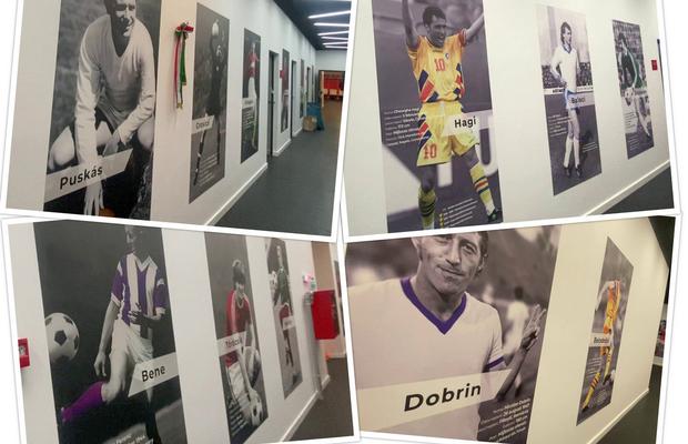 Decizie controversată la Sf. Gheorghe, pe stadionul de 25 mil. € » Sepsi cu maghiarii, oaspeții cu românii
