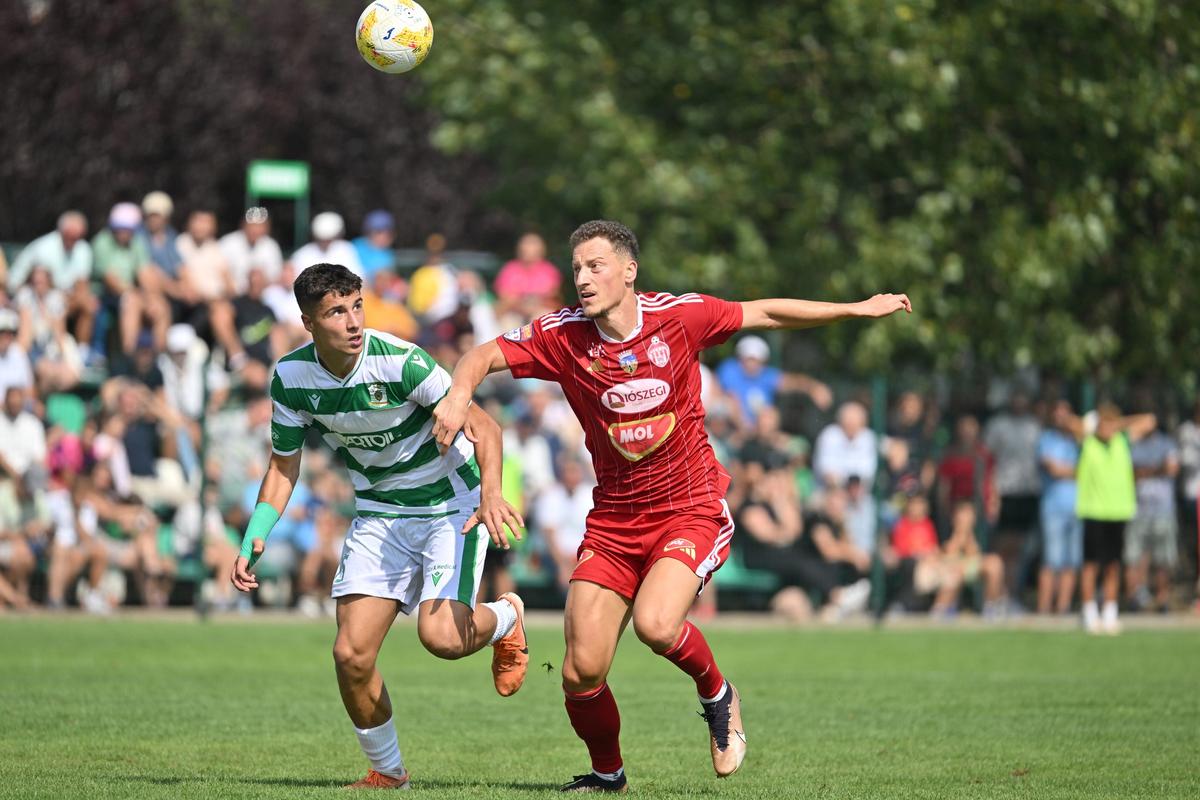 CSC Dumbrăvița - Sepsi 1-2 / Foto: Facebook Sepsi OSK Leczki Jozsef