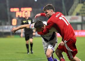 FC Argeș - FC Botoșani, în etapa #9 din Superligă » Unii pe val, alții pe tobogan! Echipe probabile + cote la pariuri