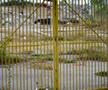 Vizită pe șantierul viitoarei arene de 100 de milioane de euro de la Pitești » Tribunele au fost demolate, urmează să fie pusă la pământ „oficiala”